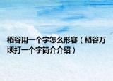 稻谷用一個(gè)字怎么形容（稻谷萬頃打一個(gè)字簡(jiǎn)介介紹）