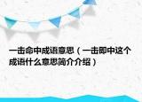 一擊命中成語意思（一擊即中這個成語什么意思簡介介紹）