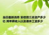 當(dāng)日最新消息 安倍晉三總資產(chǎn)多少億 其年薪收入以及退休工資多少