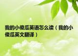 我的小傻瓜英語怎么讀（我的小傻瓜英文翻譯）
