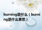 burning是什么（burning是什么意思）