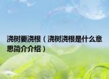 澆樹要澆根（澆樹澆根是什么意思簡(jiǎn)介介紹）