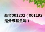 基金001202（001192是分級(jí)基金嗎）