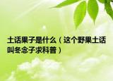 土話果子是什么（這個野果土話叫冬念子求科普）