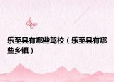 樂至縣有哪些駕校（樂至縣有哪些鄉(xiāng)鎮(zhèn)）
