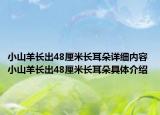 小山羊長出48厘米長耳朵詳細內(nèi)容 小山羊長出48厘米長耳朵具體介紹