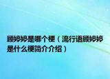 顧婷婷是哪個(gè)梗（流行語(yǔ)顧婷婷是什么梗簡(jiǎn)介介紹）