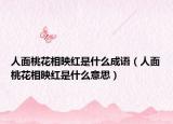 人面桃花相映紅是什么成語(yǔ)（人面桃花相映紅是什么意思）
