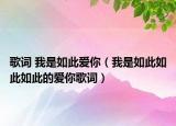 歌詞 我是如此愛你（我是如此如此如此的愛你歌詞）