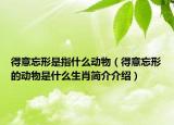 得意忘形是指什么動物（得意忘形的動物是什么生肖簡介介紹）