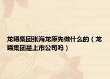 龍曦集團(tuán)張海龍?jiān)茸鍪裁吹模堦丶瘓F(tuán)是上市公司嗎）