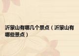 沂蒙山有哪幾個(gè)景點(diǎn)（沂蒙山有哪些景點(diǎn)）