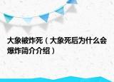 大象被炸死（大象死后為什么會爆炸簡介介紹）