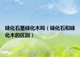 硅化石是硅化木嗎（硅化石和硅化木的區(qū)別）