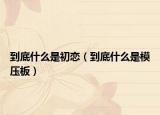 到底什么是初戀（到底什么是模壓板）