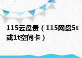 115云盤貴（115網(wǎng)盤5t或1t空間卡）