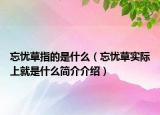 忘憂草指的是什么（忘憂草實(shí)際上就是什么簡(jiǎn)介介紹）