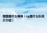 楚國是什么等級（cg是什么隊簡介介紹）