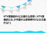 KTV里面的DJ公主是什么意思（KTV里面的公主,少爺是什么意思啊?DJ公主又是什么?）