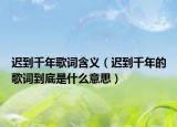 遲到千年歌詞含義（遲到千年的歌詞到底是什么意思）