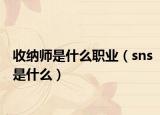 收納師是什么職業(yè)（sns是什么）
