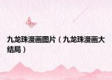 九龍珠漫畫圖片（九龍珠漫畫大結(jié)局）