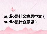 audio是什么意思中文（audio是什么意思）