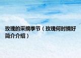 玫瑰的采摘季節(jié)（玫瑰何時摘好簡介介紹）