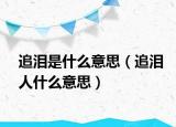 追淚是什么意思（追淚人什么意思）