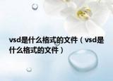vsd是什么格式的文件（vsd是什么格式的文件）