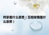 挓掌是什么意思（互相掌摑是什么意思）