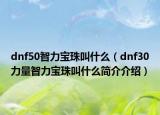 dnf50智力寶珠叫什么（dnf30力量智力寶珠叫什么簡介介紹）