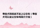 導(dǎo)盲犬到底該不該上公交車（導(dǎo)盲犬可以坐公交車嗎簡介介紹）