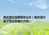 劍靈活力沒用完怎么辦（劍靈活力沒了怎么辦簡介介紹）