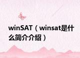 winSAT（winsat是什么簡介介紹）