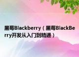 黑莓Blackberry（黑莓BlackBerry開發(fā)從入門到精通）