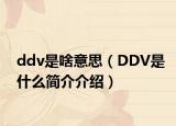 ddv是啥意思（DDV是什么簡介介紹）