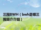 三圍BWH（bwh是哪三圍簡介介紹）