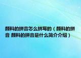 顏料的拼音怎么拼寫(xiě)的（顏料的拼音 顏料的拼音是什么簡(jiǎn)介介紹）