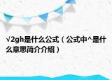 √2gh是什么公式（公式中^是什么意思簡介介紹）