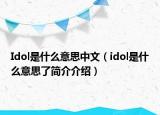 Idol是什么意思中文（idol是什么意思了簡(jiǎn)介介紹）