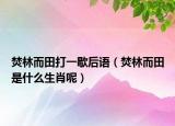 焚林而田打一歇后語（焚林而田是什么生肖呢）