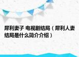 犀利妻子 電視劇結(jié)局（犀利人妻結(jié)局是什么簡介介紹）