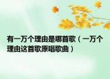 有一萬(wàn)個(gè)理由是哪首歌（一萬(wàn)個(gè)理由這首歌原唱歌曲）