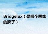 Bridgelux（是哪個國家的牌子）