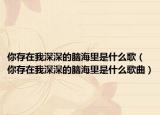 你存在我深深的腦海里是什么歌（你存在我深深的腦海里是什么歌曲）