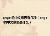 angel的中文意思有幾種（angel的中文意思是什么）