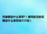 風(fēng)暴眼是什么意思?（暴風(fēng)影音的左眼是什么意思簡介介紹）