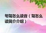 匉訇怎么讀音（訇怎么讀簡介介紹）