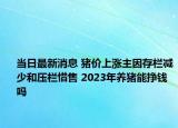 當日最新消息 豬價上漲主因存欄減少和壓欄惜售 2023年養(yǎng)豬能掙錢嗎